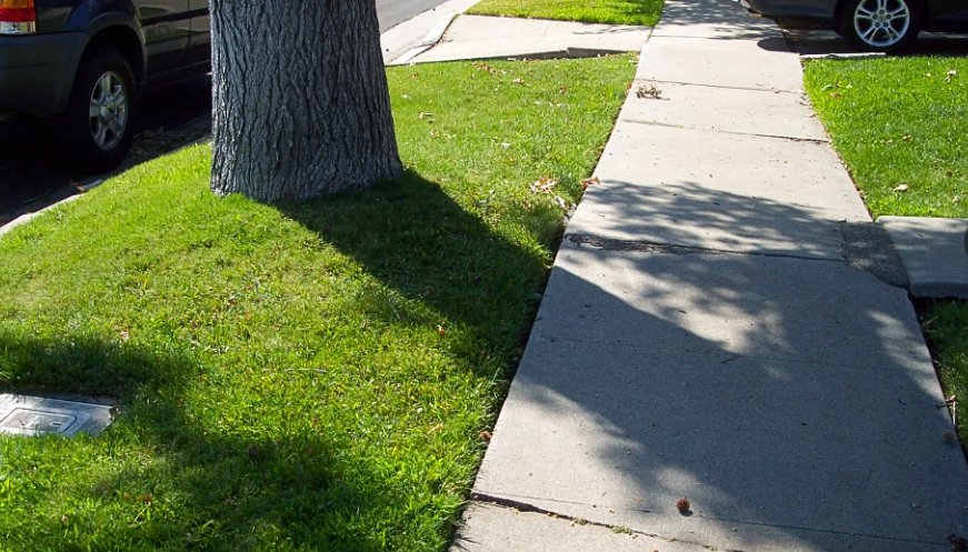 Homeowners May Be Held Responsible for Sidewalk Repairs